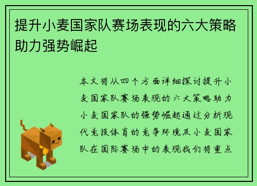 提升小麦国家队赛场表现的六大策略助力强势崛起